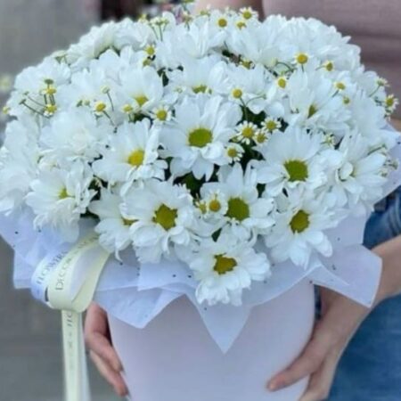 Композиция из ромашек